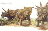 Sibbick Ceratopsians