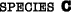 Species C
