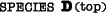 Species D (top)