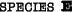 Species E