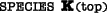 Species K (top)