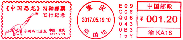 China Chonquing meter