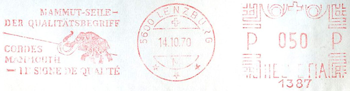 Zwitserland Lenzburg meter