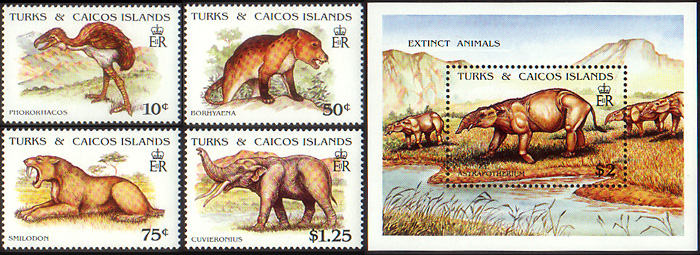 Turks and Caicos Islands 1991