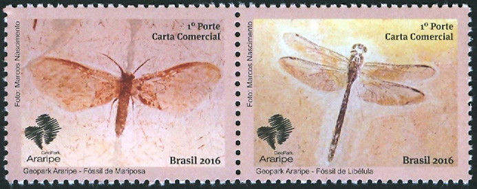 Brazil 2016